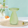 Colorful Transparent Avocado Hydroponic Vase Glass Avocado Seed Starter Vase Plant Seed Growing Kit Gardening Lovers Home Decor Qme A1