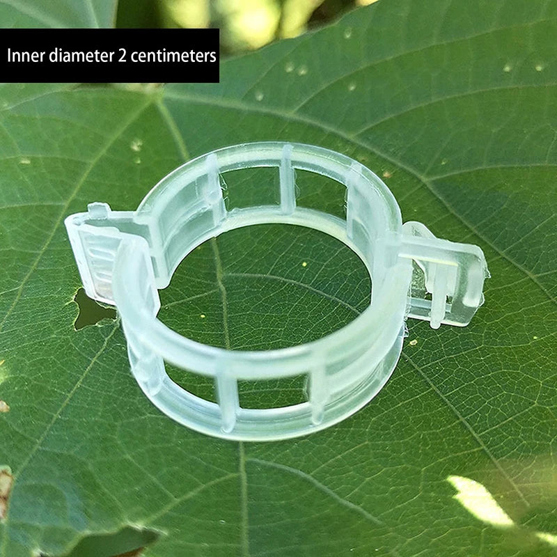 .100Pcs Secured Plastic Plant Clip Upgrade Plant Support Clips Garden Clips For Climbing Plants Support Clips Plant Fixing Clips Qme