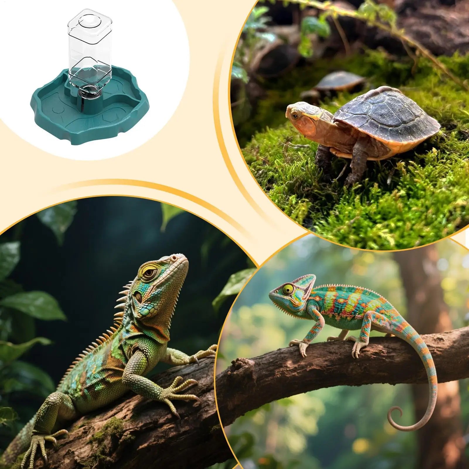 Reptile Water Feeder 1 Detachable Waterer Terrarium Tank Food Feeders Qme