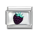 Selling Heart Blue Series Butterfly Fruits Italian Charm Link Fit