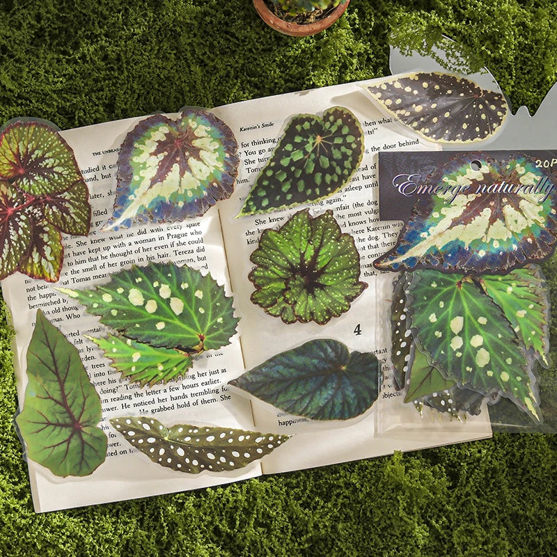 20 pcs Plants Flowers Leaf PET Sticker pack Hand Account Collage Junk Journal Planner Scrapbooking Decor Stationery Stickers Qme
