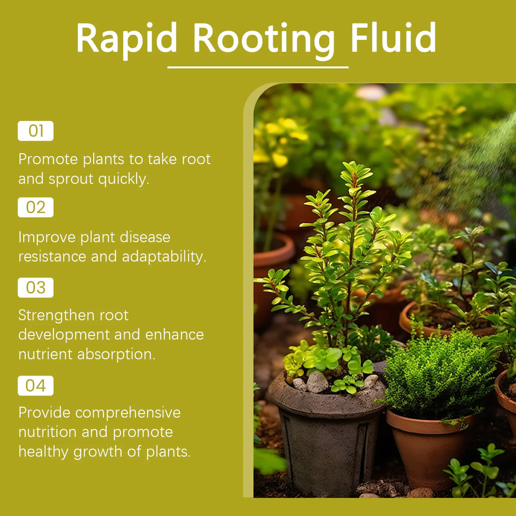 100ml Succulent Root Booster Potted Plant Nutrient Rapid Rooting Stimulator Fertilizer Supplement for Healthy Root Development Qme