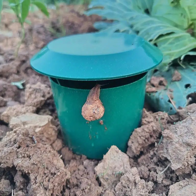 Eco-friendly Snail Cage Slug House Snail Trap Catcher Pests Reject Gintrap Tools Pest Repeller Household Garden Farm Protector Qme