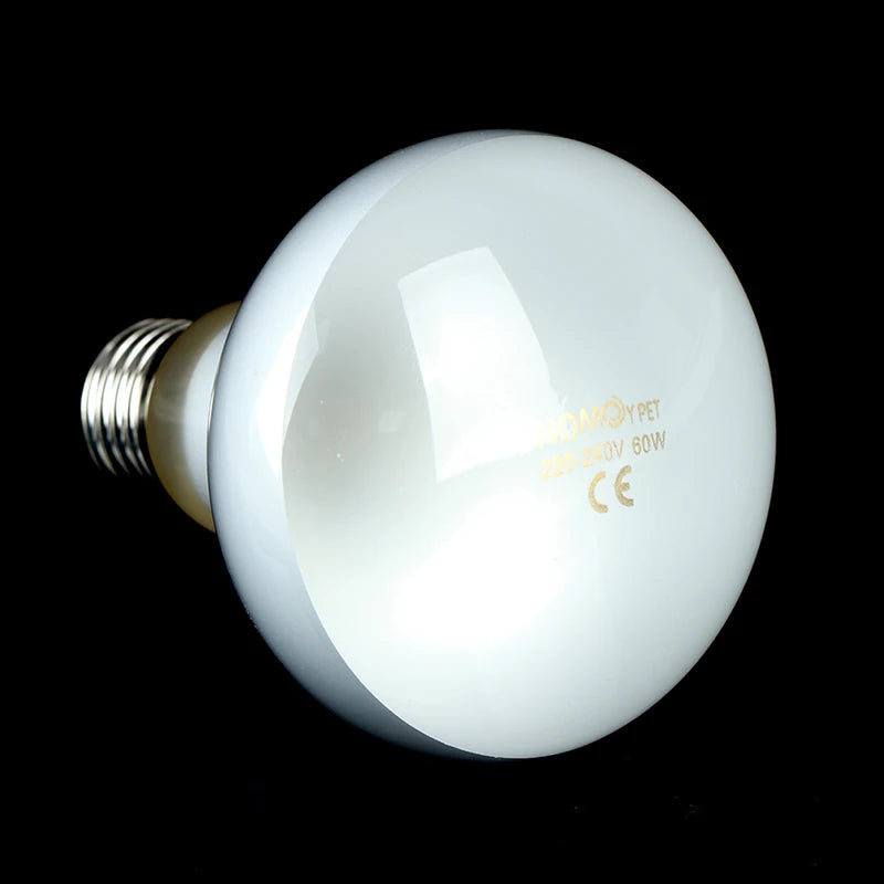 UVA+UVB Reptile Lamp Bulb Turtle Basking UV Light Bulbs Heating Lamp Amphibians Lizards Temperature Controller Qme