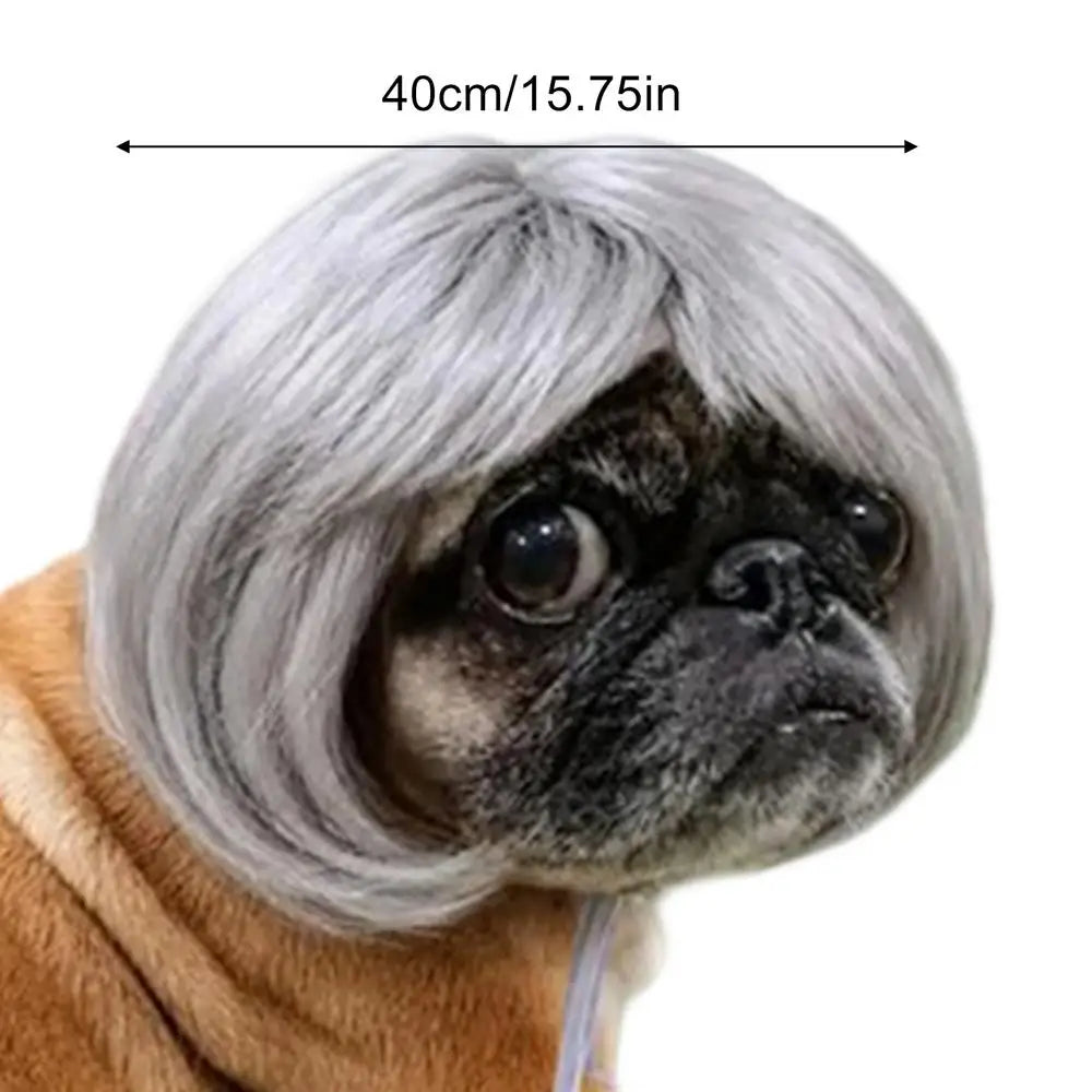 Cat Wig Funny Bangs Adjustable Human-style Pet Costume Halloween Qme Silver China Mainland