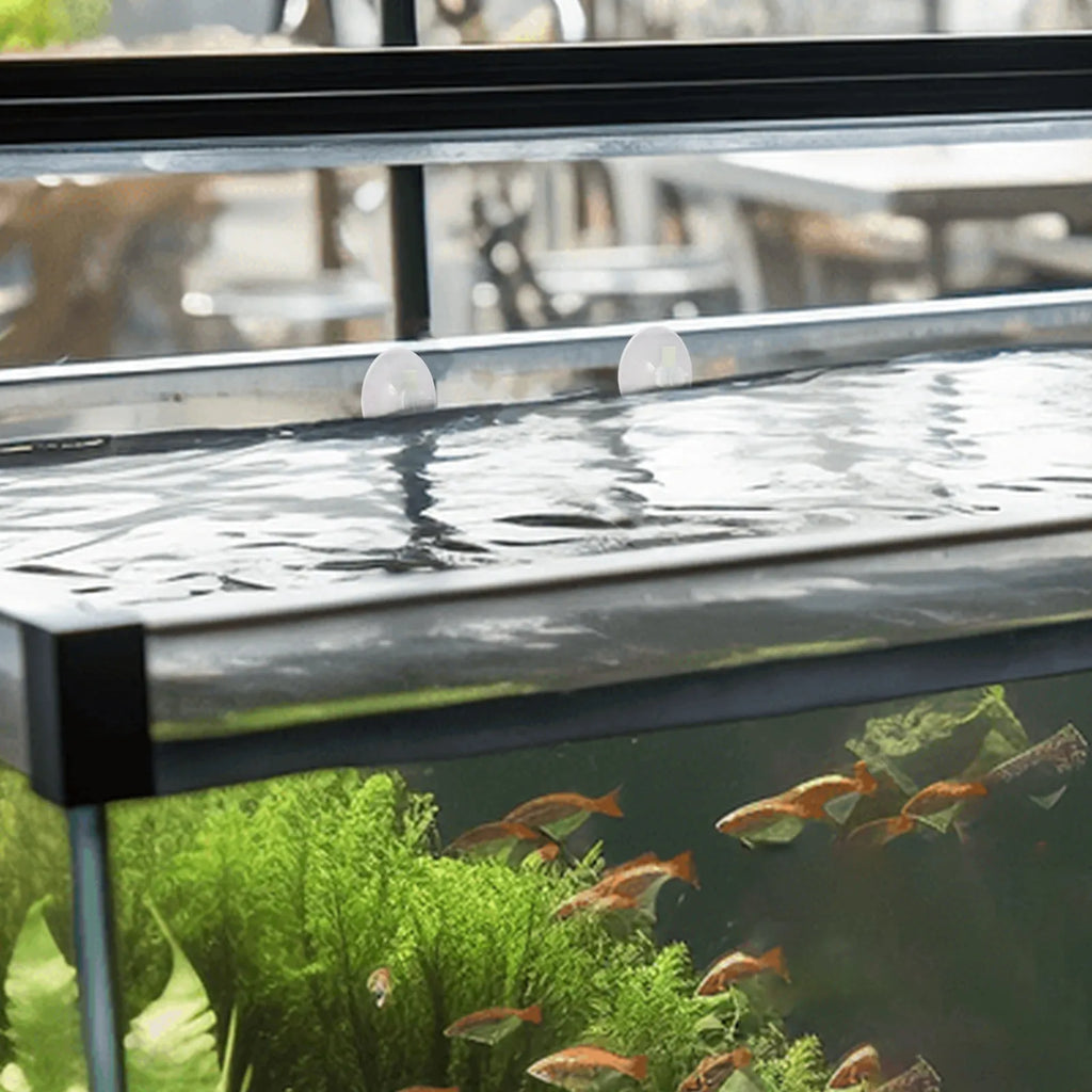 Aquarium Floating Plant Fence Floating Plants Separator Fish Feeding Ring Reusable Plastic Isolation Accessory for Duckweed and Qme