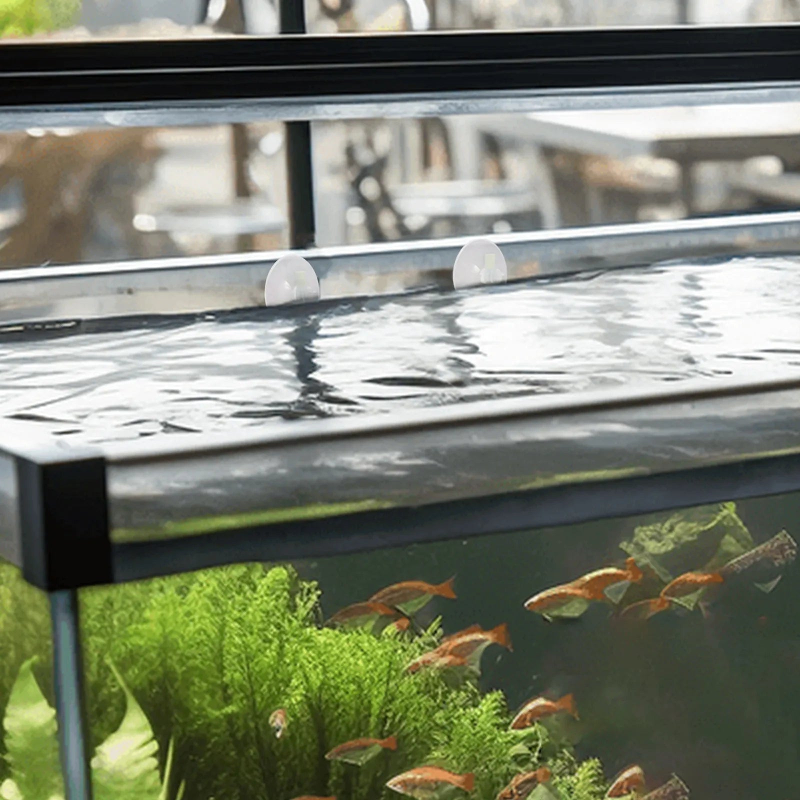 Aquarium Floating Plant Fence Floating Plants Separator Fish Feeding Ring Reusable Plastic Isolation Accessory for Duckweed and Qme