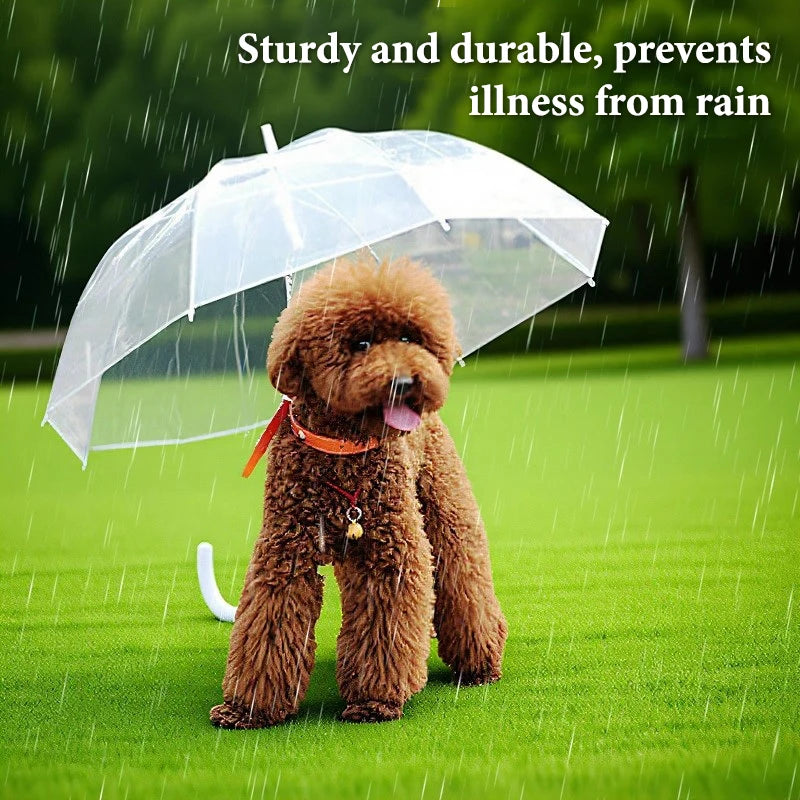 Small Dogs Adjustable Doggy Umbrella Pet Leash Rainproof Snowproof Dog Qme