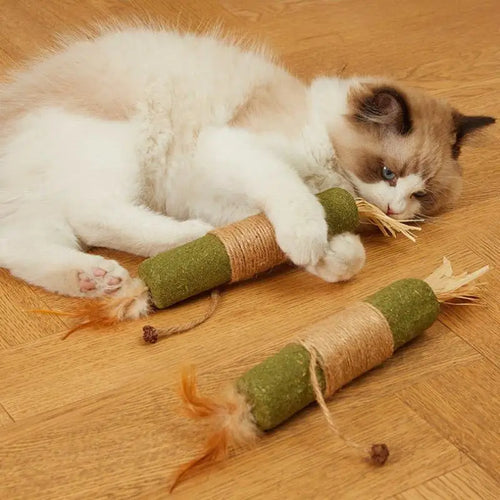 1/2PCS Cat Toys Made Of Wood Sticks Insect Galls Raffia Sisal Rope Teeth Cleaning Toys Cat Teasing Sticks Qme