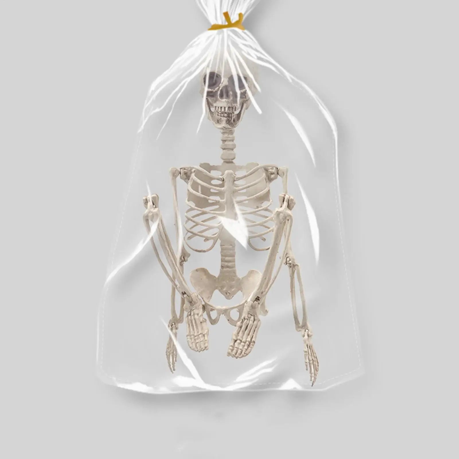 Skeletons Halloween 2ft Outdoor Human Bone Decorations Skull Props Qme