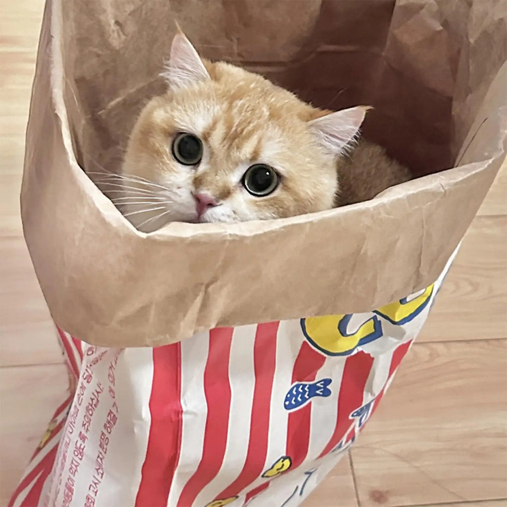 Crinkle Cat Bag Interactive Foldable Crinkle Sack Cartoon Paper Box Bags for Kitten Small Dogs Outdoor Travel Car Camping Desk Qme