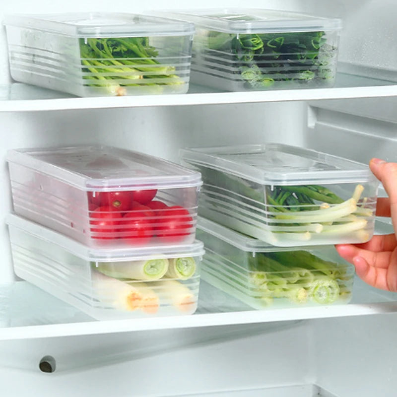 Storage Crisper Sealed Fridge Organiser Refrigerator Boxes Scallions Qme