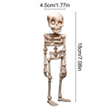 1Pc Magnetic Poseable Skull Fridge Magnet Funny Halloween Gift Easter Kitchen & Dining Decor Home Accessory, Quirky Decor Qme 1Pc style1