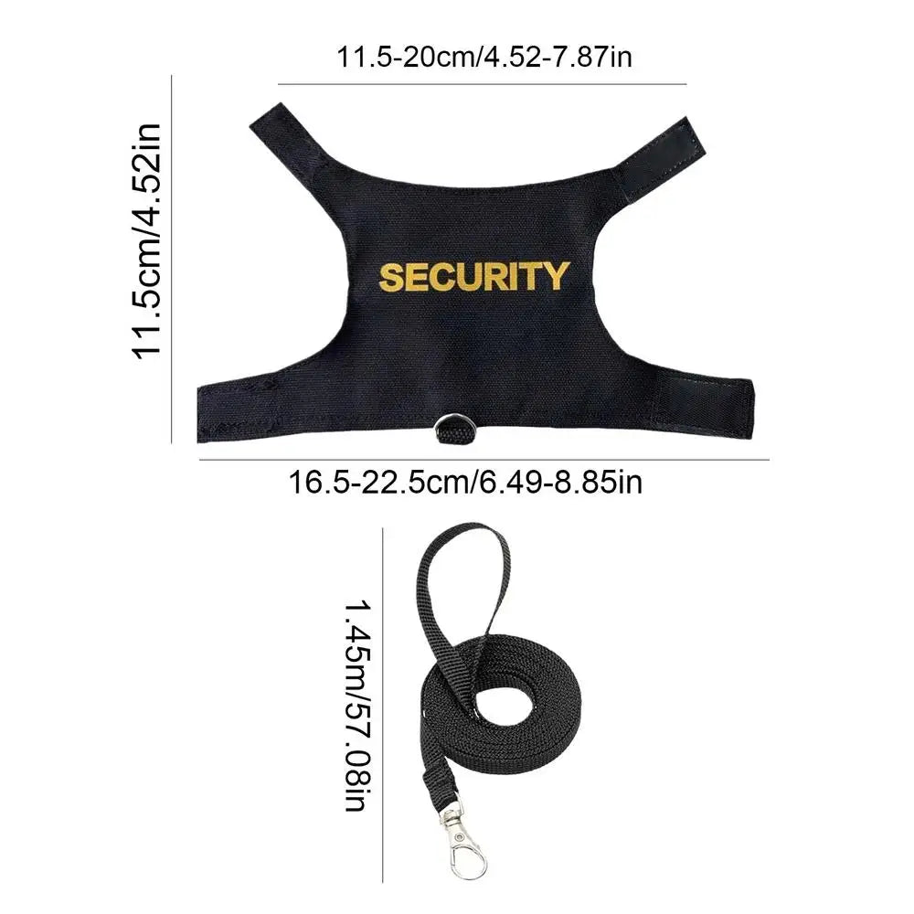 Reptile Lizard Gecko Bearded Dragon Harness and Leash Comfortable Bearded Dragon Clothes for Outdoor Pet Chameleon Supplies Qme Black China Mainland