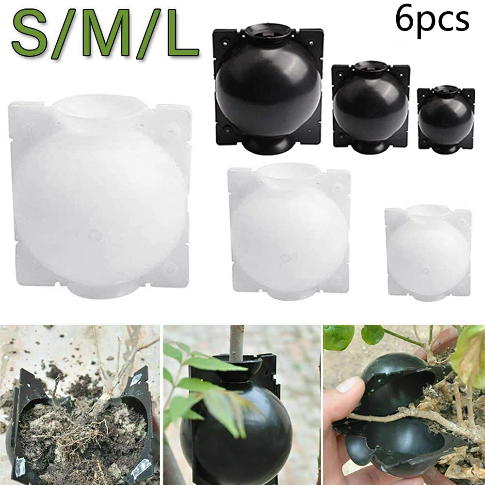 6PCS Plant Rooting Boxes Root Device Pressure Propagation Ball Box For Plants Grafting Growing Plant Care Products Accessories Qme