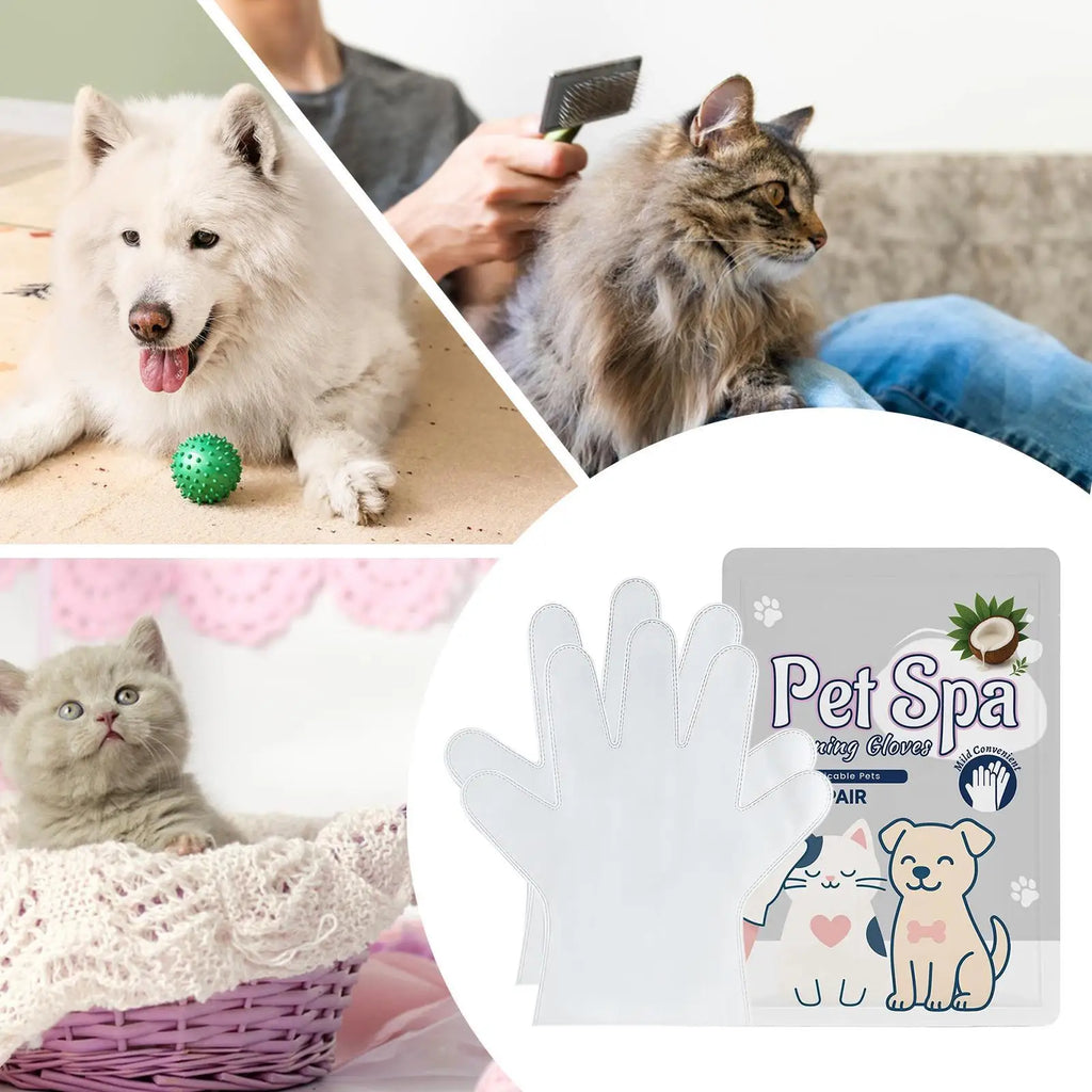 Pet Glove Wipes Dogs 1 Pair Shedding Control Daily Care Cleaning Qme