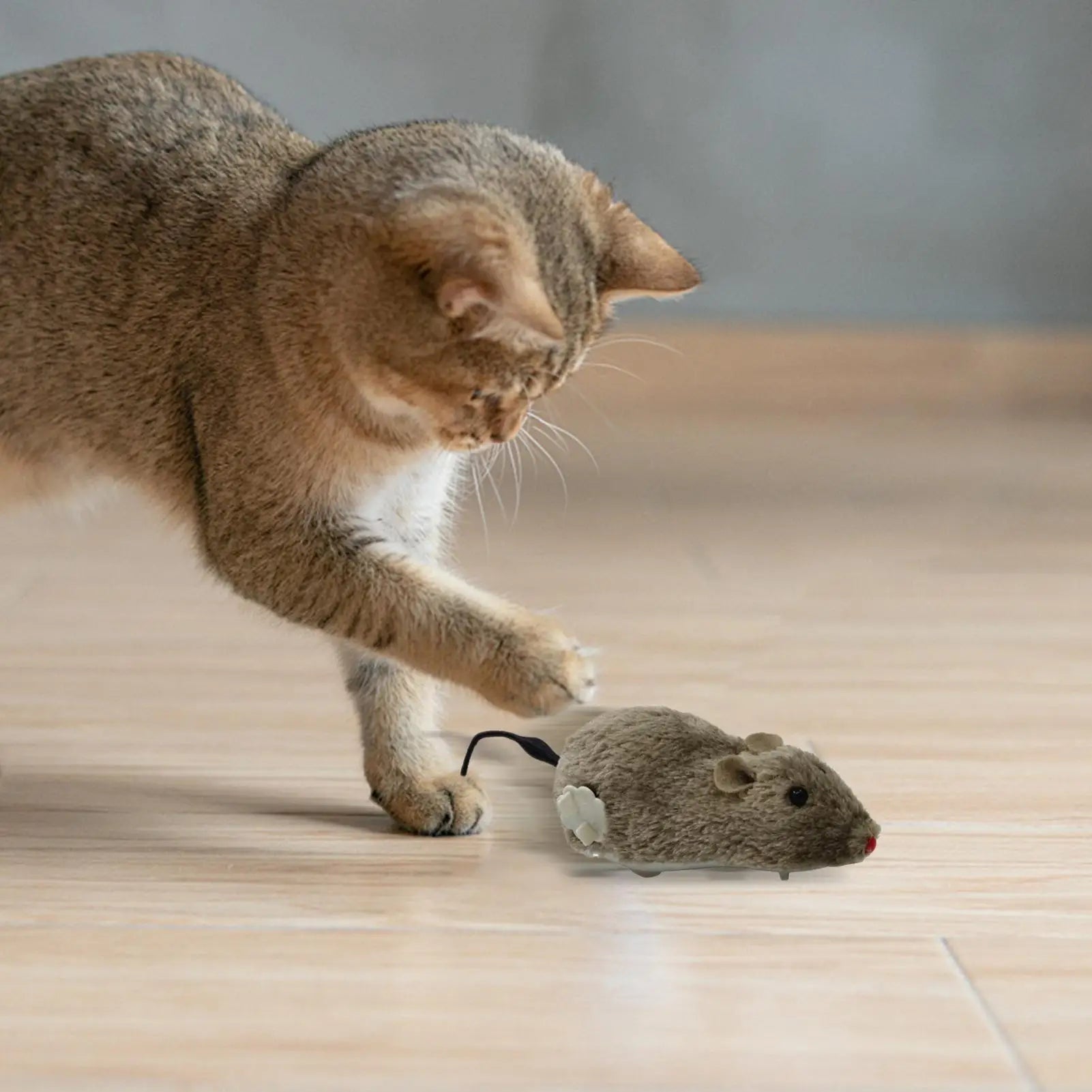 Wind up Mouse Plush Wind up Cat Toys Mouse Shape Interactive Cat Chasing Toys Interesting Playtime Supplies for Kitten Pets Qme