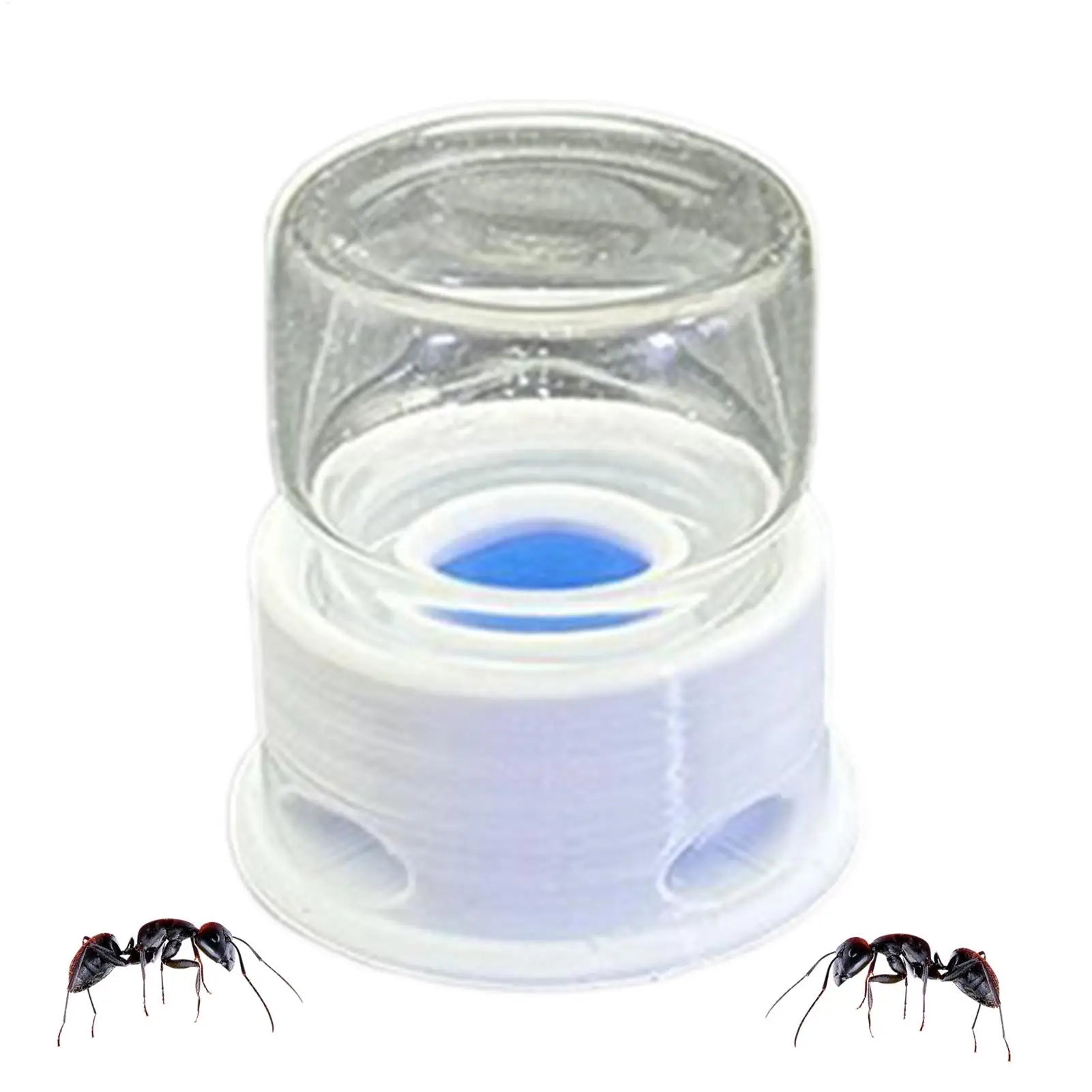 Ant Liquid Feeder Anti-Drowning Transparent Leakproof Bee Water Station for Home Classroom Farm Outdoors Qme