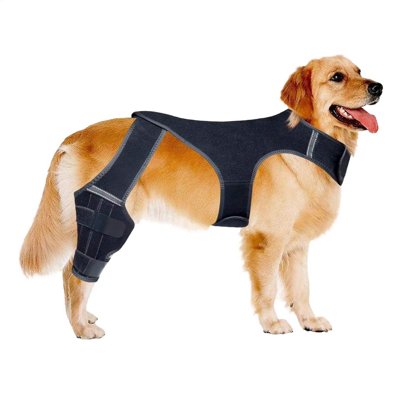Dog Leg Brace Adjustable Wrap Joint Sleeve with 4 Metal Stabilizers Rear Leg Support for Hiking Exercise Outdoor Activities Park Qme