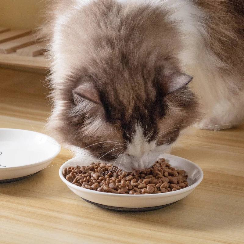 Ceramic Cat Plates Silicone Anti Slip Pad Pet Snack Bowl Cute Kitten Qme