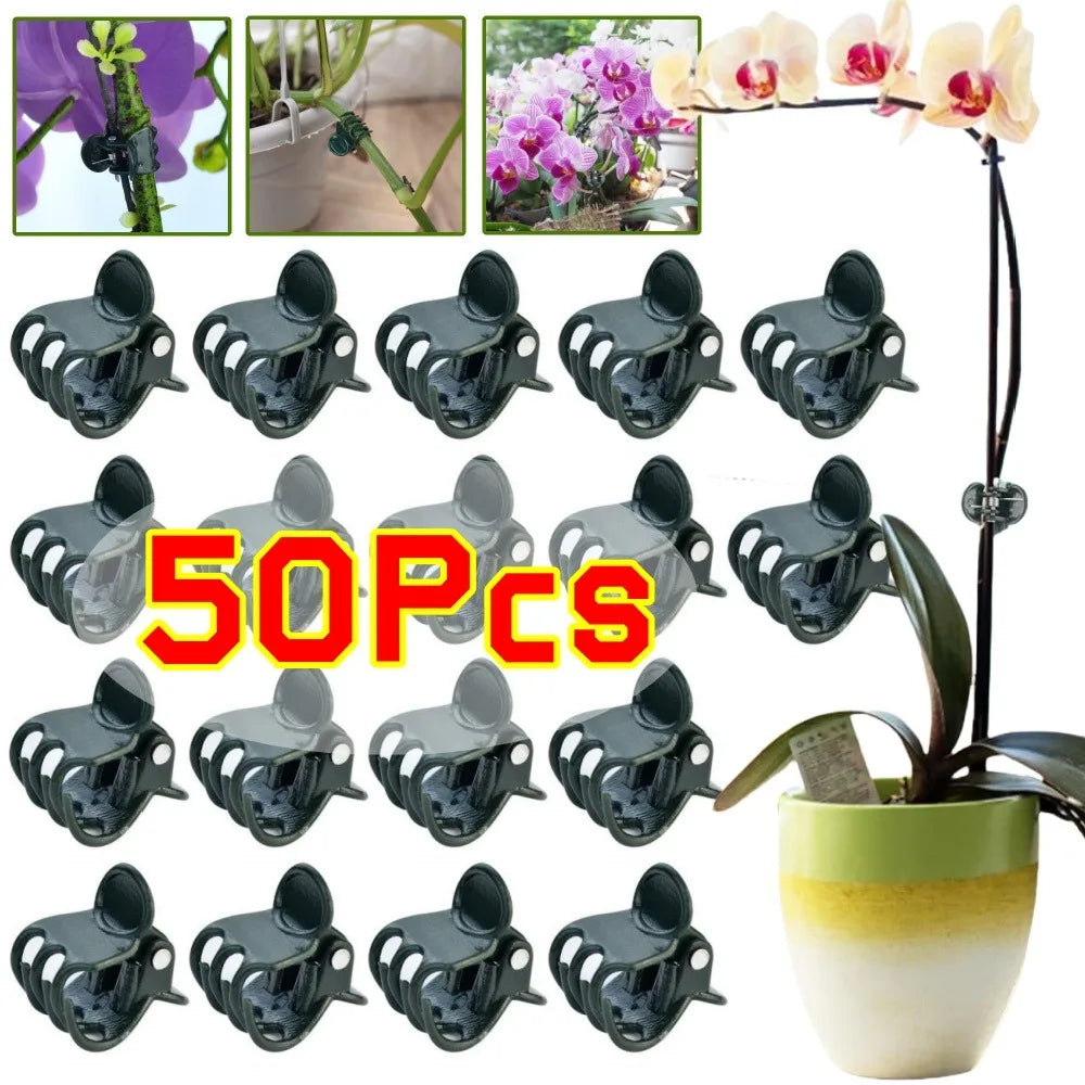 Dark Green 6-Claw Plant Clips 10-50Pcs Bundle Branch Climbing Stem Clasp Tied Orchid Flowers Support Clamps Plant Accessories Qme