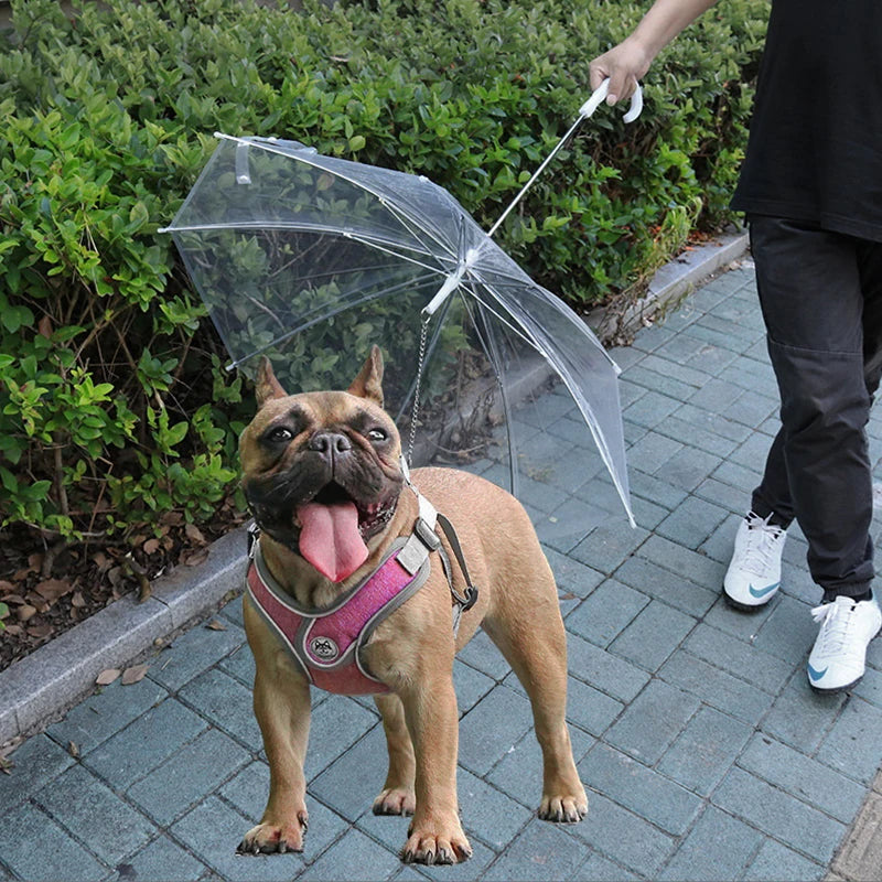 Small Dogs Adjustable Doggy Umbrella Pet Leash Rainproof Snowproof Dog Qme