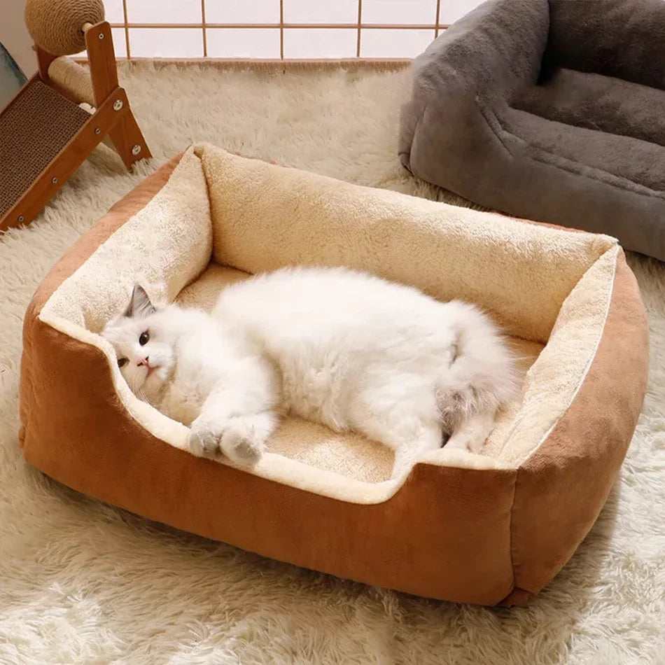 Bed for Cats Pet Products Cushions Kitten Goods Accessories Dog All Houses Supplies Things Accessory Habitats Basket House Beds Qme
