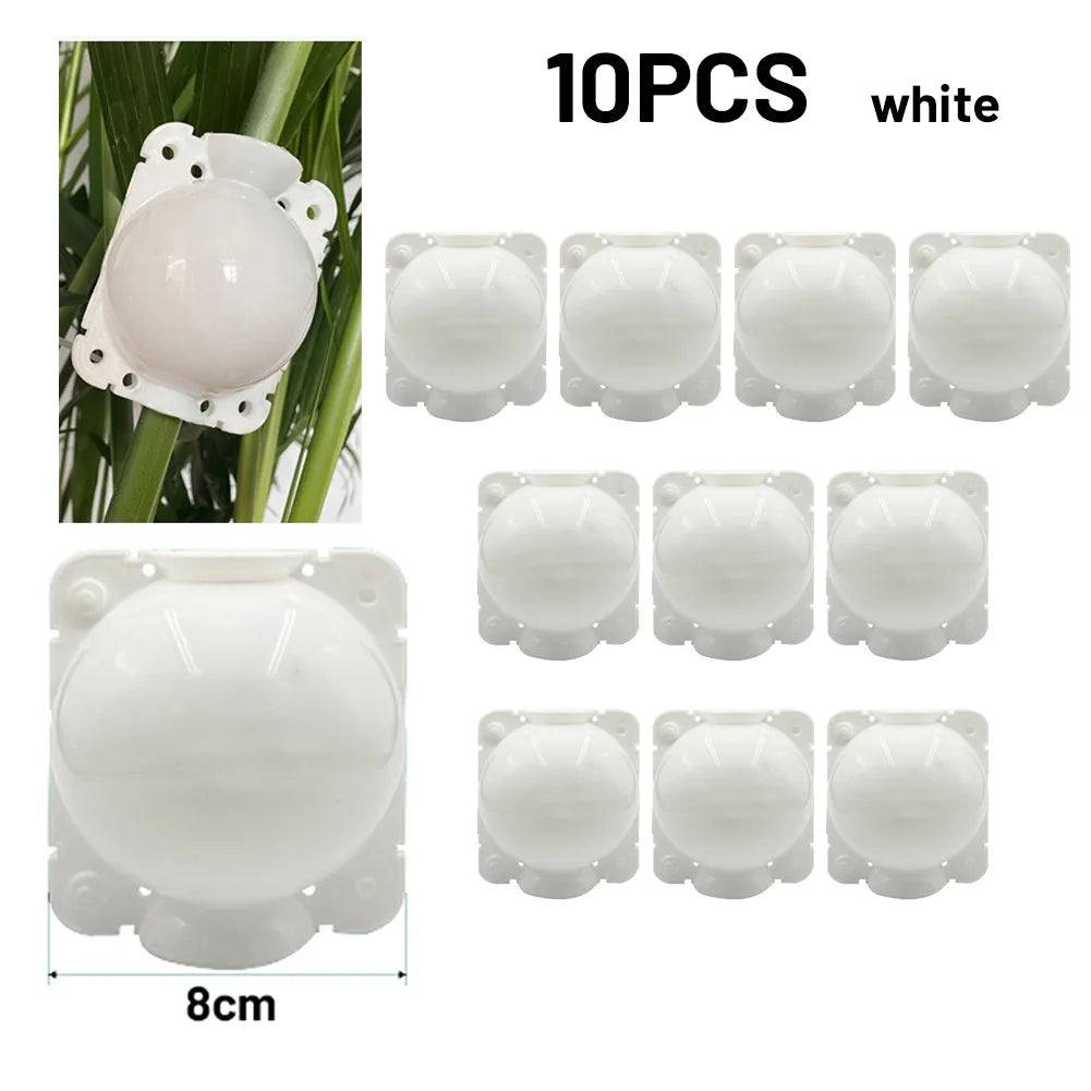 10Pcs Plant Rooting Growing Ball Grafting Root Box Nursery Tray Breeding Tree Graft Case Garden Planting Tools Boxes Replace Qme white 8cm