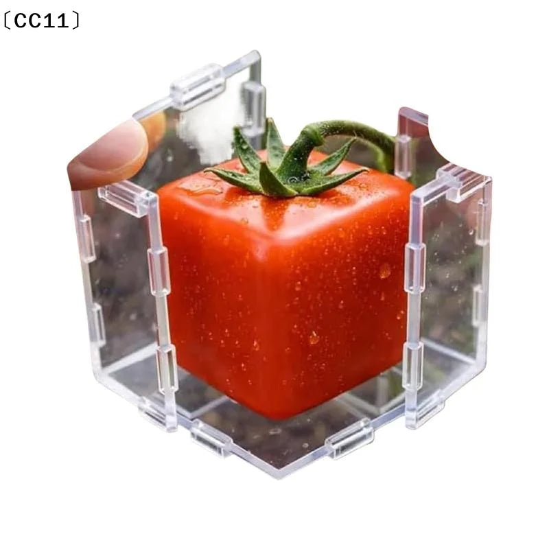 Mini Cube Triangle Fruit Shaping Mold Reusable Transparent Plastic Qme