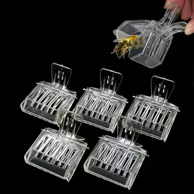 3/5 Transparent Clip-on Bee Cages, Plastic Clips, Queen Cages, Bee Catchers, Beekeeping Tools Qme