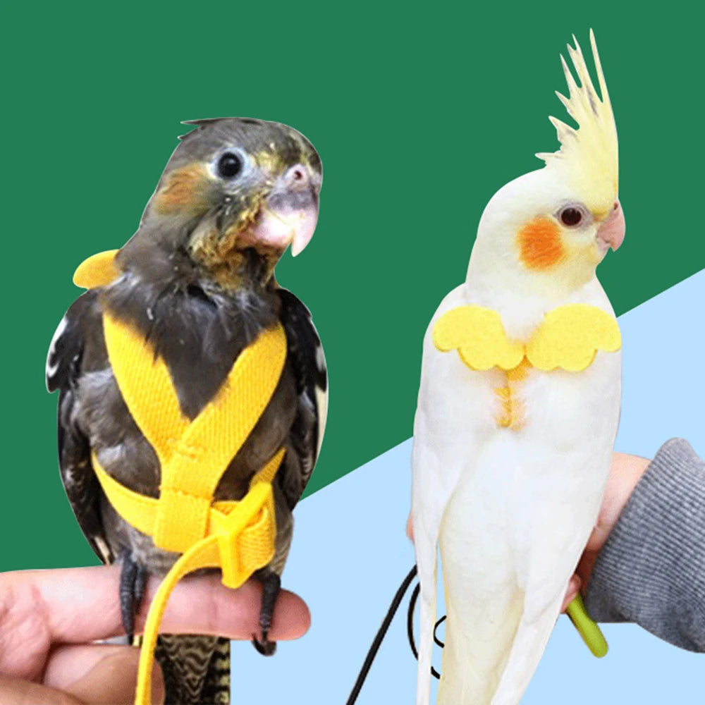 Random Adjustable Parrot Bird Harness Leash Set Anti-bite Training Harness Parrots Outdoor Flying Rope Cockatiel Bird Supplies Qme