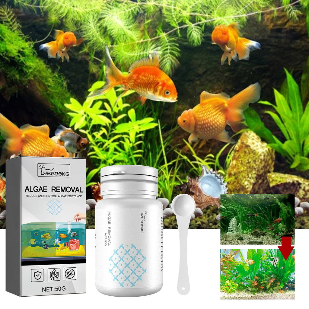 Algae Removal Quickly Removing Fish Manure Eliminate Odor Purify Water Quality Improve Water Purity Fish Tank Moss Removal Agent Qme