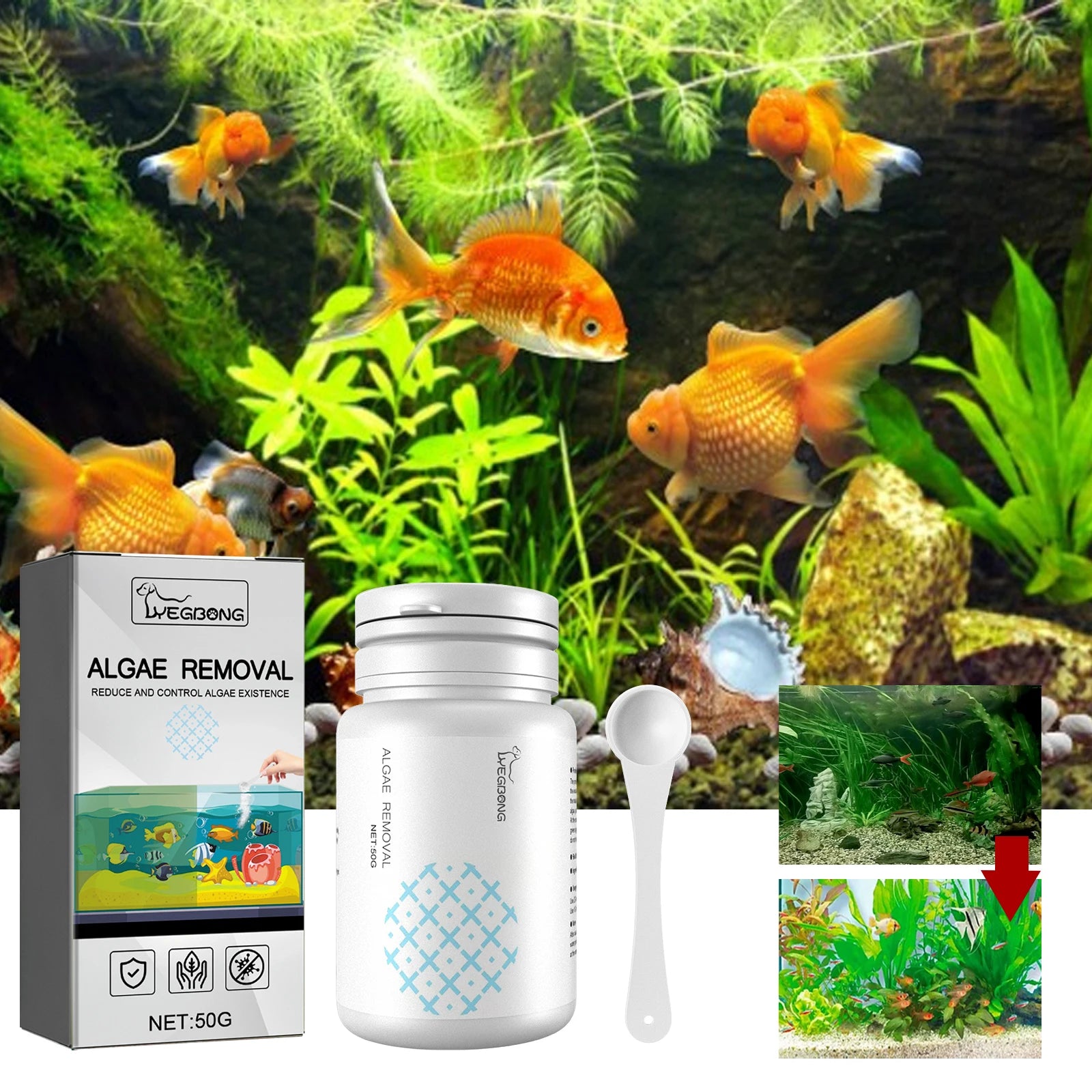 Algae Removal Quickly Removing Fish Manure Eliminate Odor Purify Water Quality Improve Water Purity Fish Tank Moss Removal Agent Qme