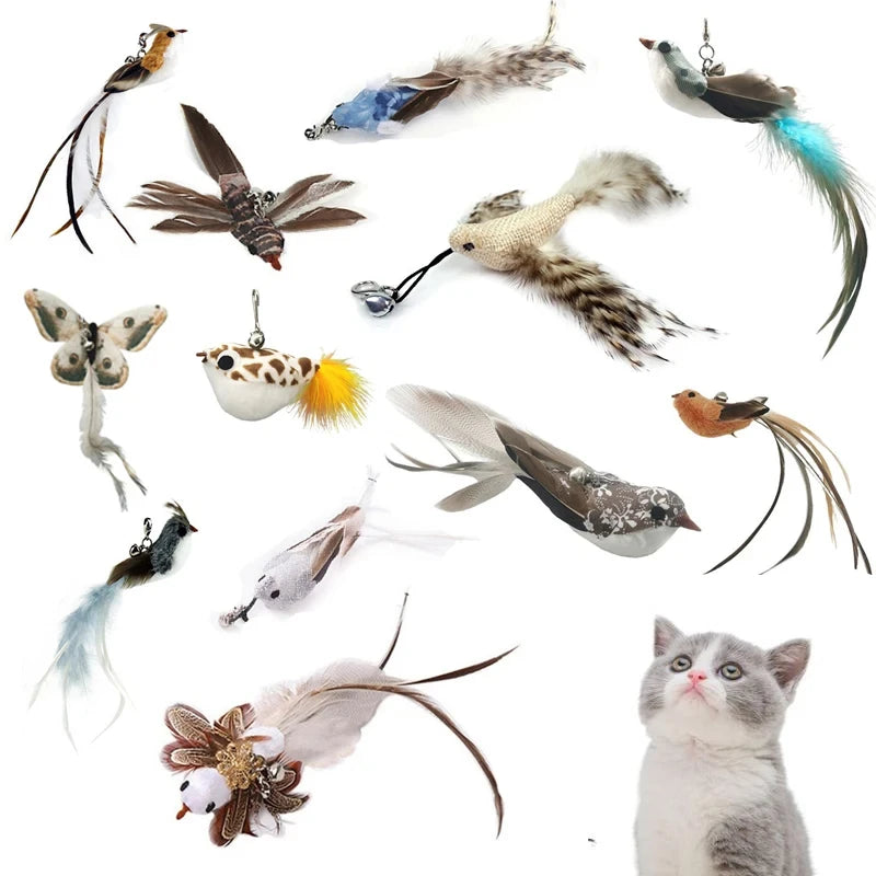 Funny Bird Feather Cat Wand With Bell Accessories Interactive Toys For Cats Kitten Hunting Teaser Exercise Pet Products Qme