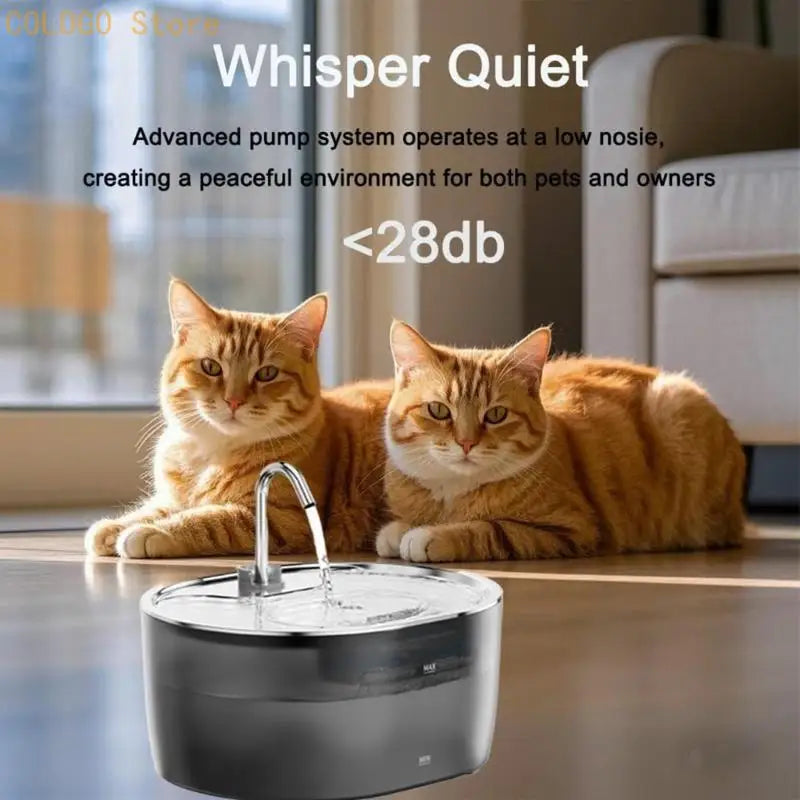 Cats Dog Water Dispenser Stainless Steel Spouts Automatic Flows Qme
