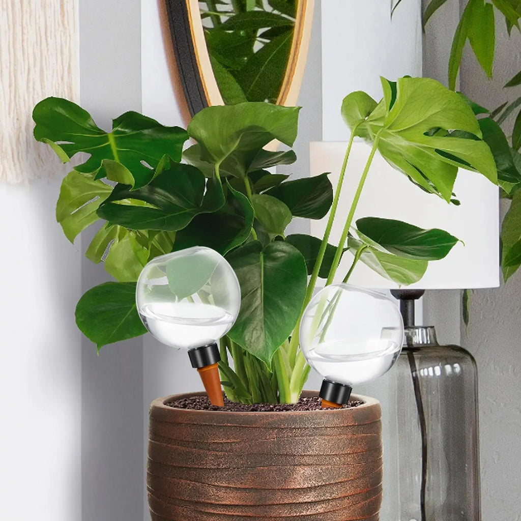 Plant Watering Globes 500ml Automatic Irrigation Dripper Automatic Garden Waterer for Indoor Outdoor Home Workplace Balcony Qme