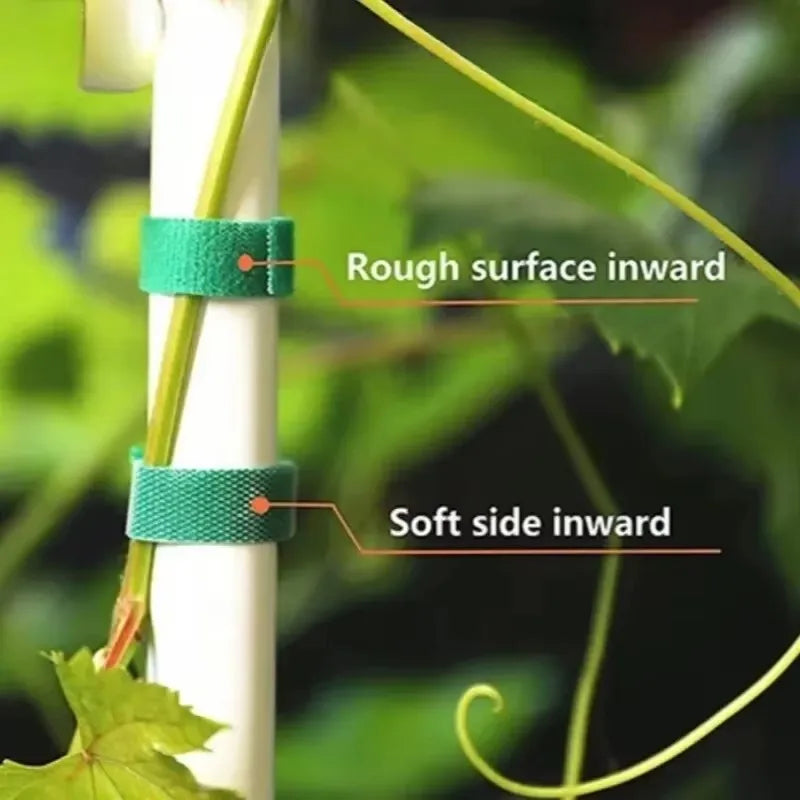 3 Rolls Green Garden Twine Plant Ties Nylon Plant Bandage Garden Hook Loop Bamboo Canl E Wrap Support Garden Accessories Qme