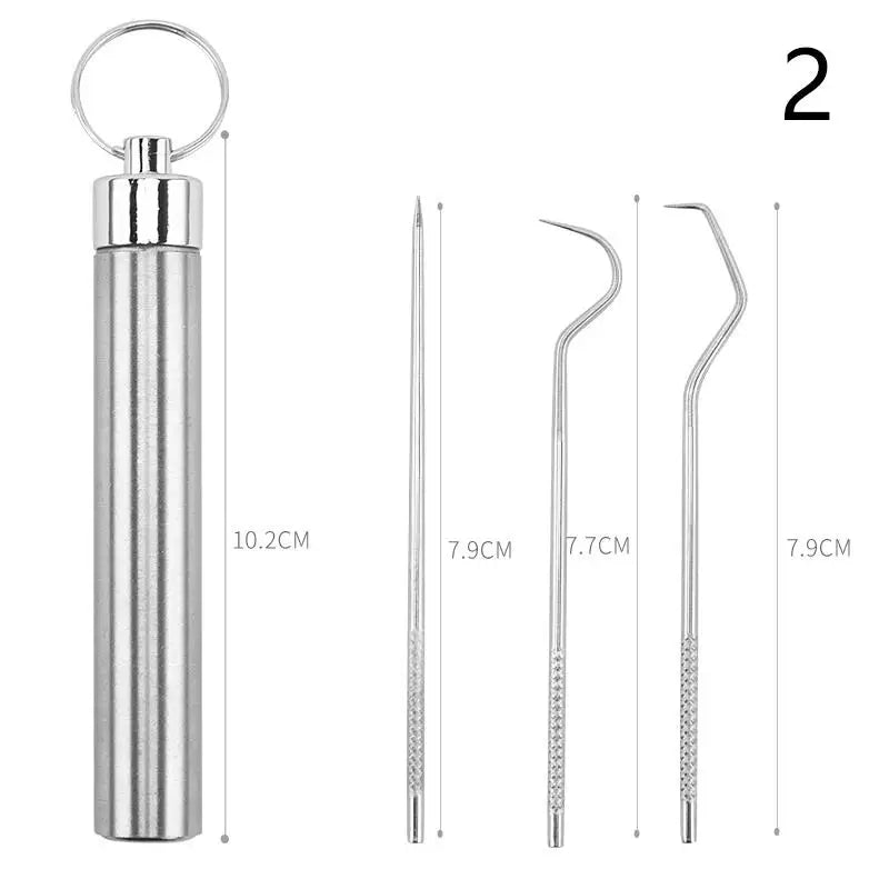 Metal Toothpicks Tooth Cleaningtool Storage Tube Stainless Steel Qme 2