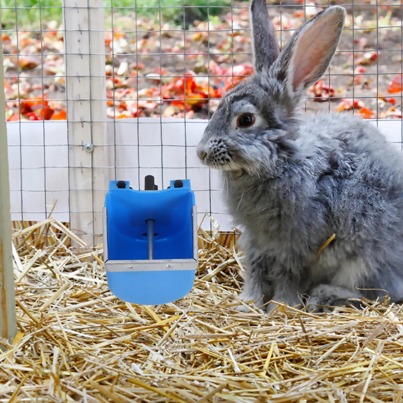 Stainless Steel Rabbit Drinking Bowl Automatic Water Dispenser Pet Cage Feeder for Home Farm Bunny Water Bowl Bunny Food Dishes Qme