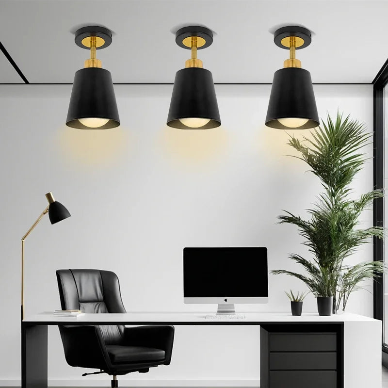 Modern Rotatable Aisle Ceiling Light Lamps for Corridor Balcony Cloakroom Entrance Hallway Led Indoor Lighting Iron Horn Shaped Qme