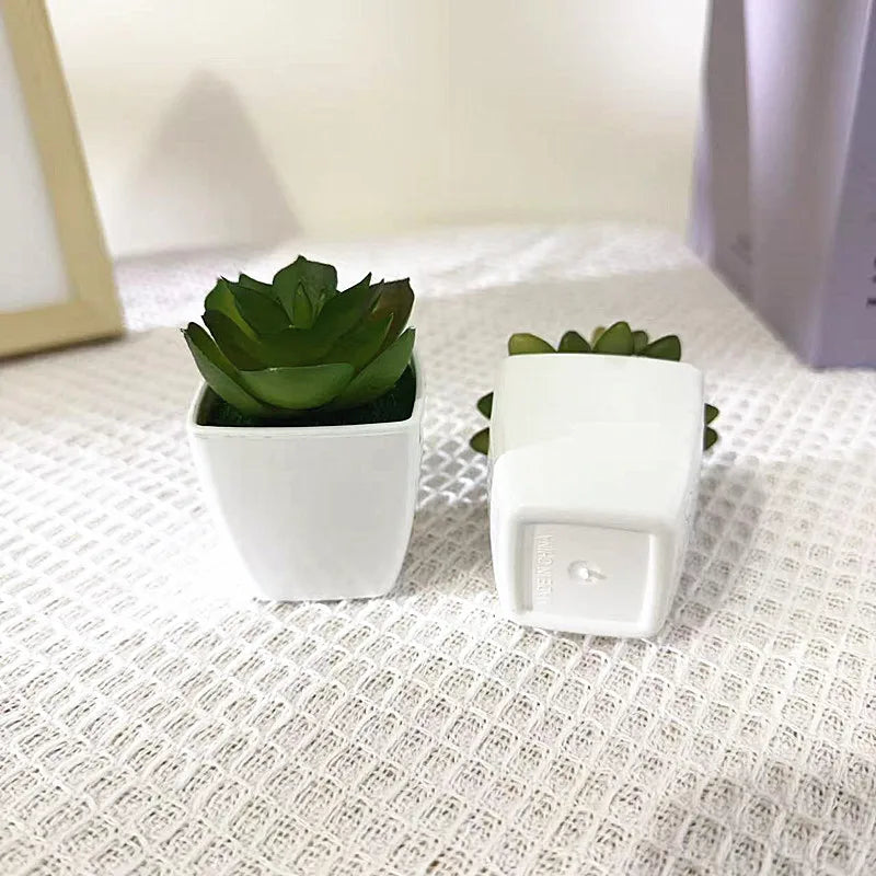 Faux Cactus Arrangements Small Imitation Foliage White Square Planter Qme