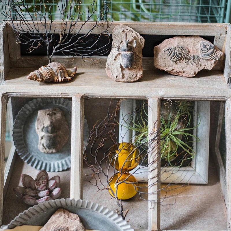 Child Toy Simulated Resin Fossil Ornament Crawling Terrarium Decors Qme