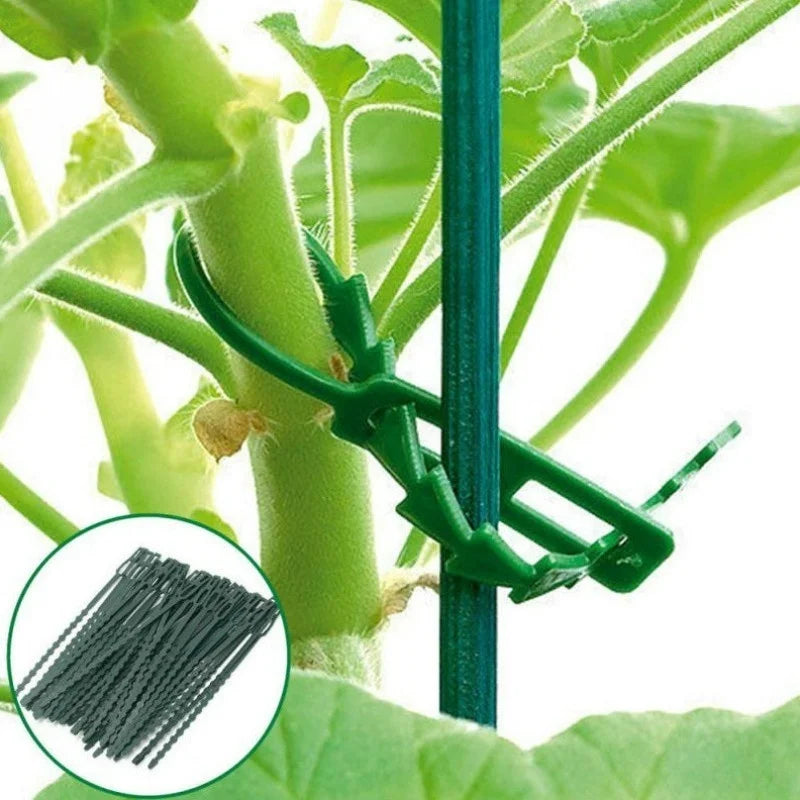 Adjustable Plastic Plant Cable Ties Reusable Garden Tree Climbing Qme