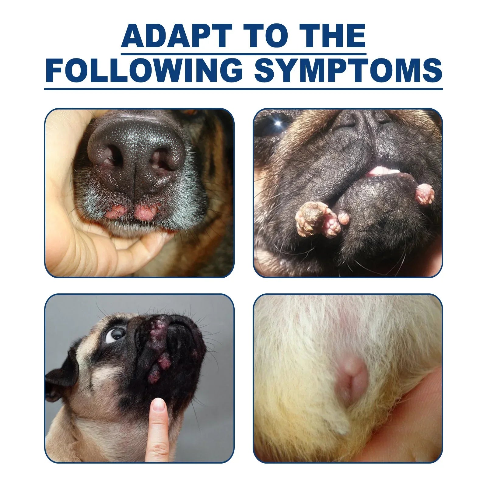 Dog Wart Remover Cat Skin Tags Removal Treat Against Moles Corn Painless Wart Clean Treatment Skin Repair Pet Skin Care Liquid Qme