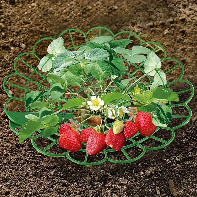 2 Fixed Splicing Support Frames Horticultural Potted Plants Fruit Qme