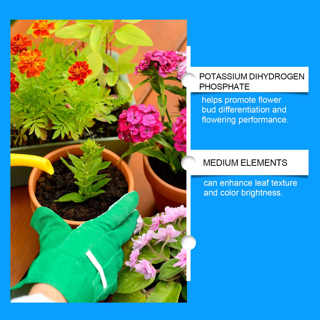 Flower Nutrient Solution Liquid Plant Fertilizer Rooting Booster for Hydroponics Garden Plants Blossom Nutrition Food Qme