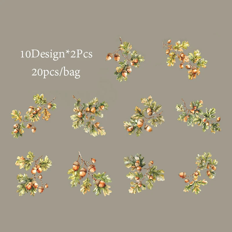 20 Sheets/Bag PET Shell Light Stickers Plant Fruit Pattern Sticker For Hand-Collage Material DIY Greeting Card Cup Decoration Qme 5