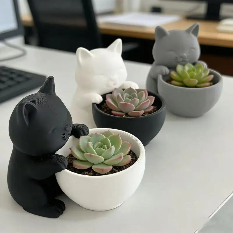 Drainage Holes Uniquely Designed Succulents Small Flowers Cacti Qme