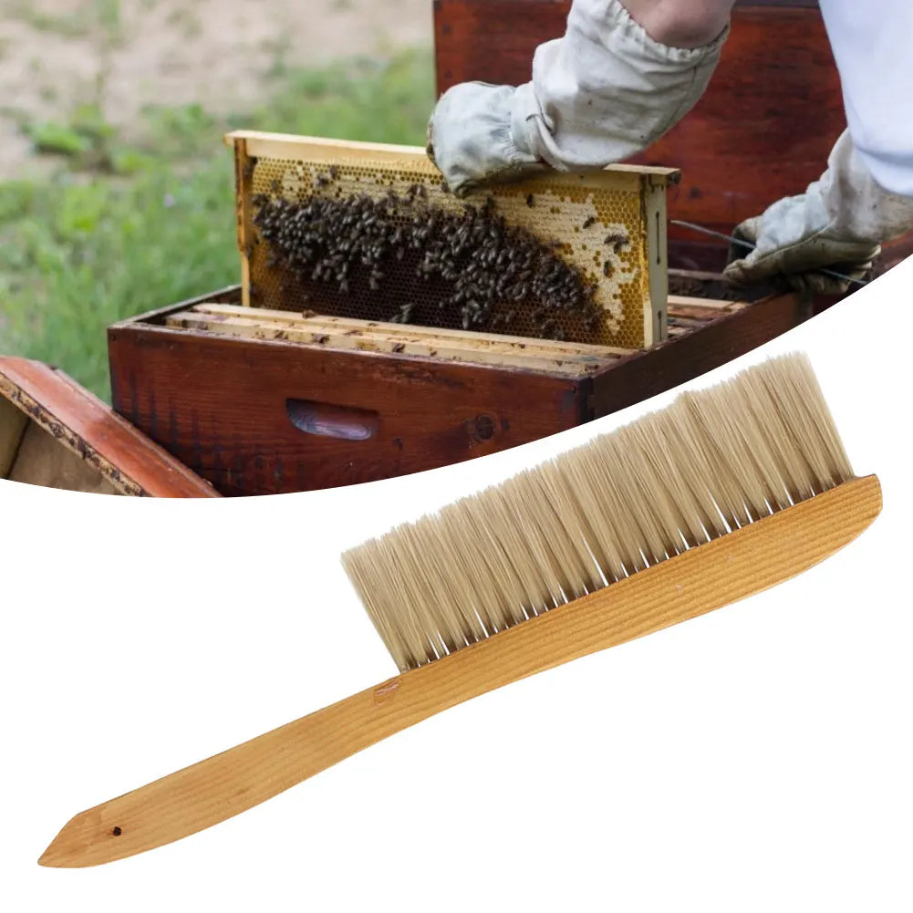 Bee Brush Double Row Long Handle Beekeeping Brush Beehive Sweeping Cleaning Tool Durable for Apiary Hive Beekeeper Equipment Qme