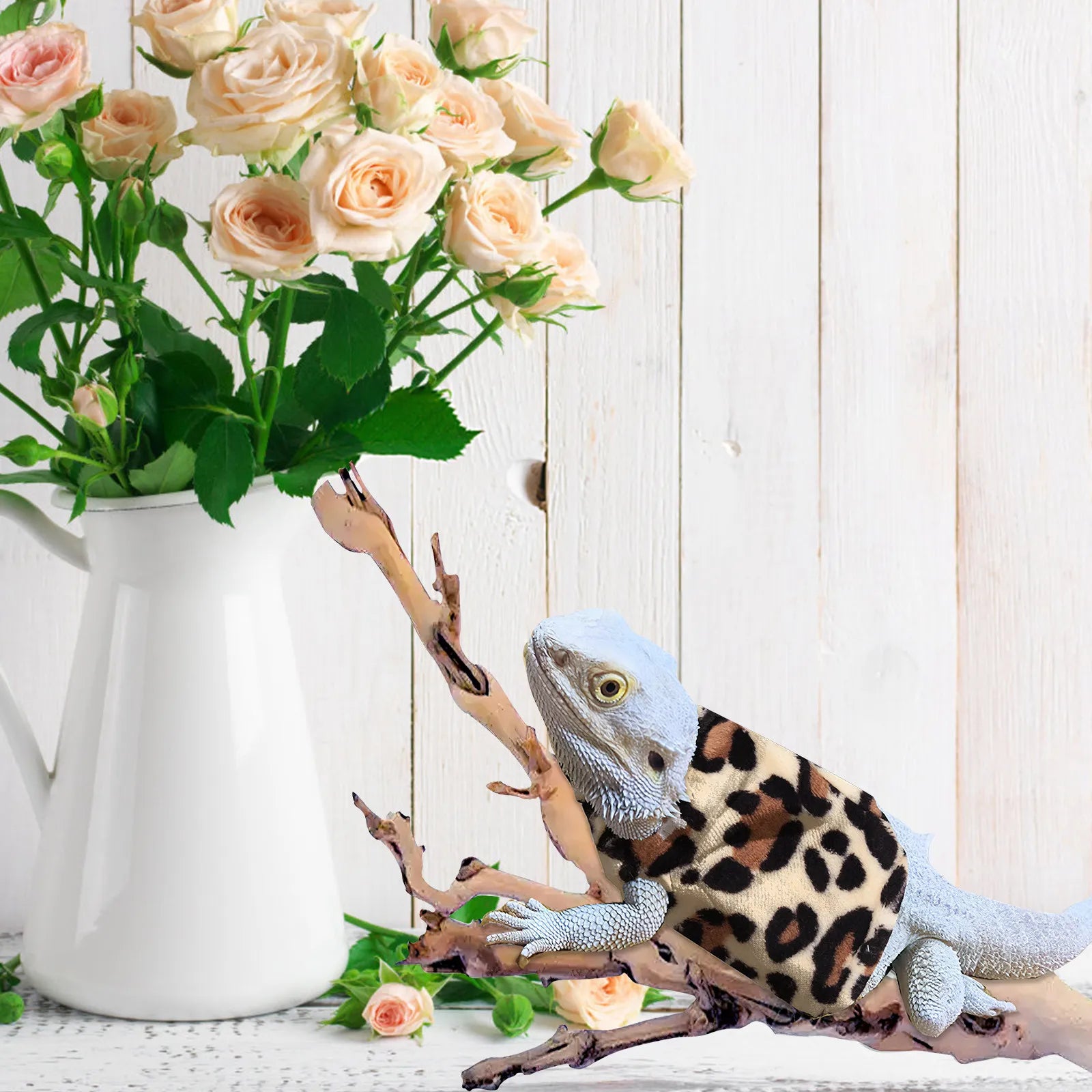 Adorable Lizard Clothes for Bearded Dragons Chameleons Lightweight Smooth Surface Outdoor Warm Reptile Small Clothing Lizard Qme